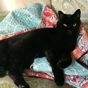 Meet your Posher, Sharon